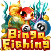Câu Cá Bingo PG88 Link